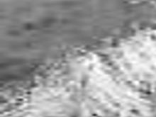 Dutcher Betty Ann Obituaries Richmond Com