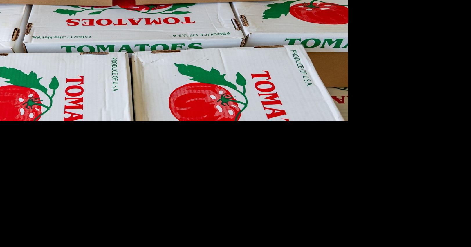 Nearly 50 years later, Hanover's tomato tradition is still thriving