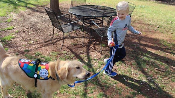 autism service dog vest