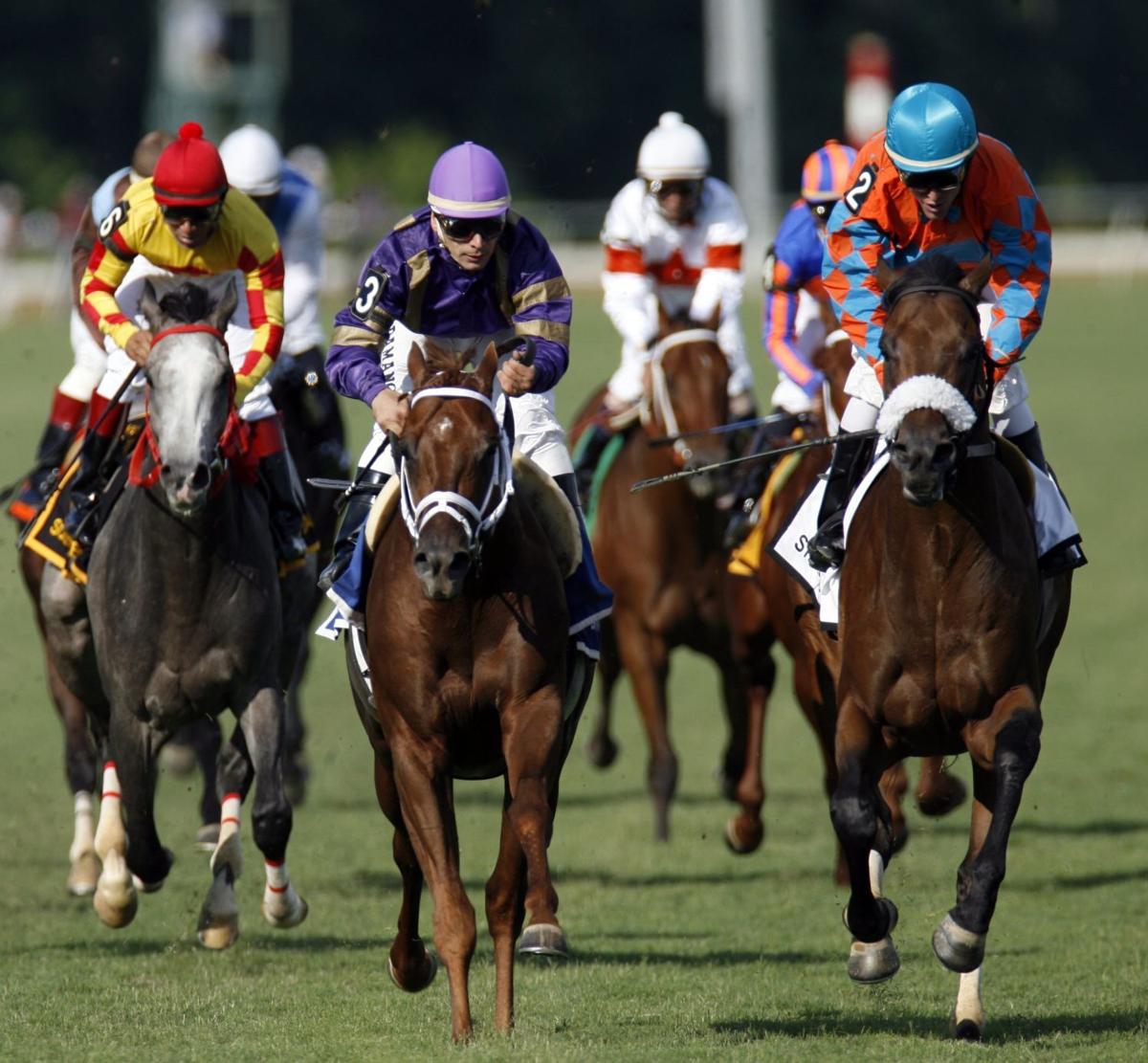 Horse Racing Virginia