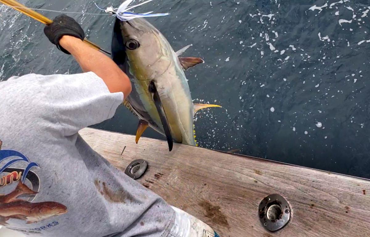 Tuna