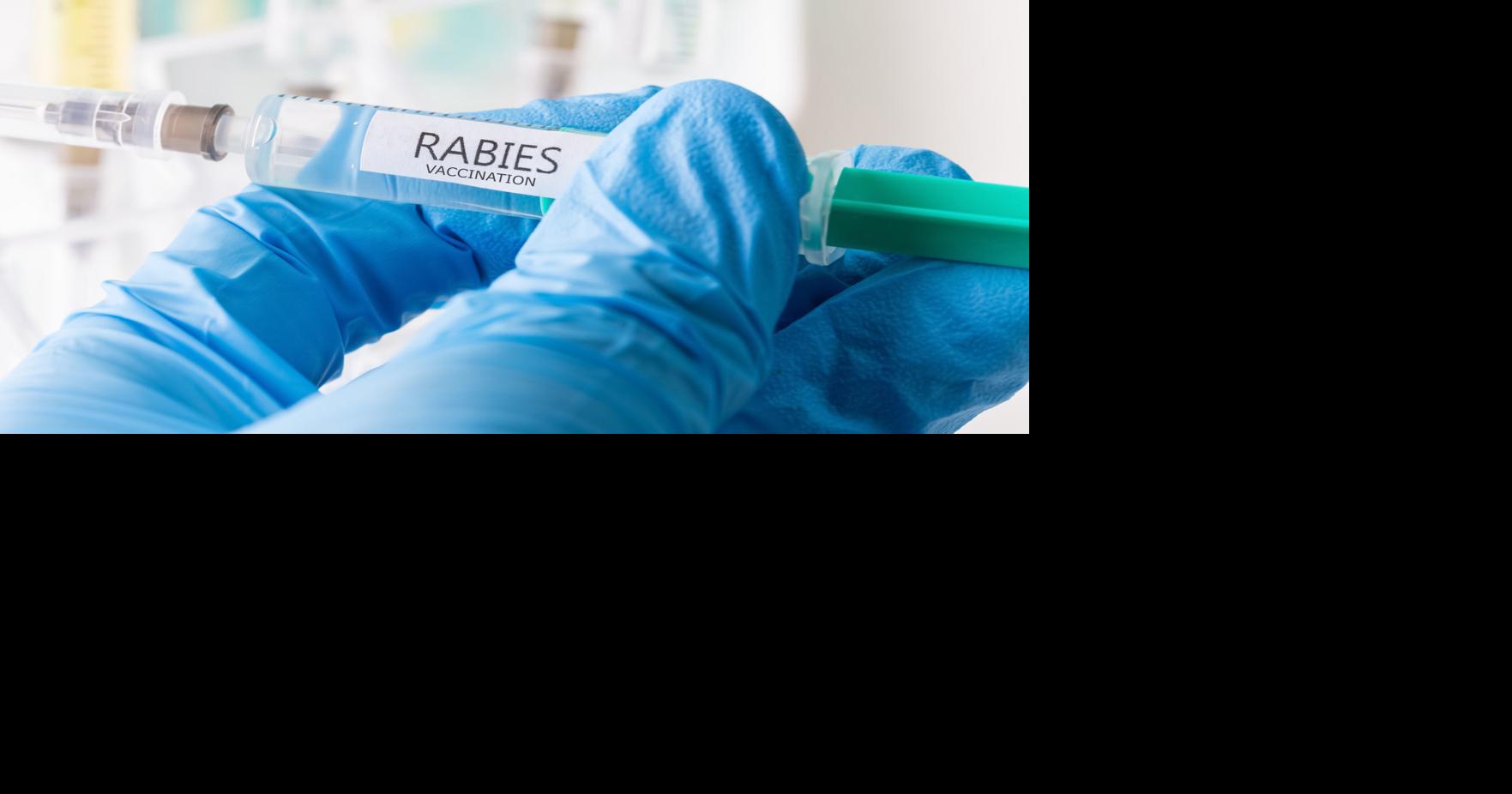 Henrico County reports first rabies case of 2024