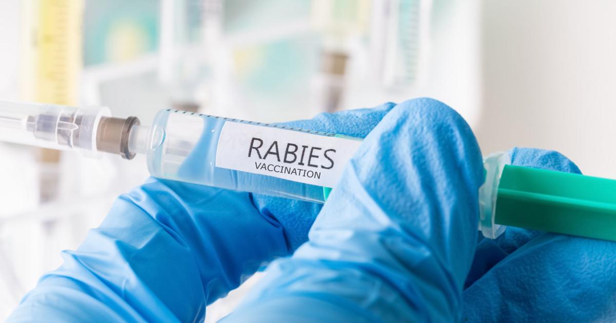 Henrico County reports first rabies case of 2024