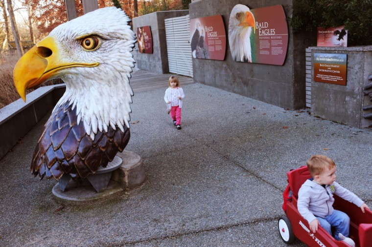 GALLERY Maymont Park renovations Photos