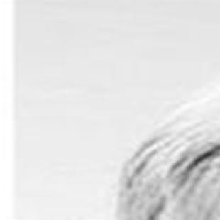 Altmeyer Funeral Home Virginia Beach Obituaries Homemade Ftempo