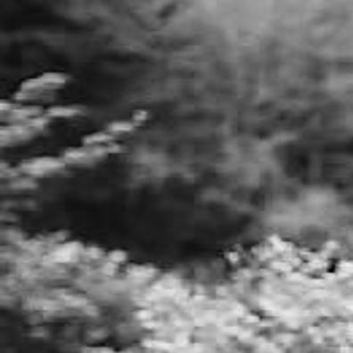 Thomas Boushall Valentine Jr Elizabeth Briggs Eldred Weddings Engagements Richmond Com