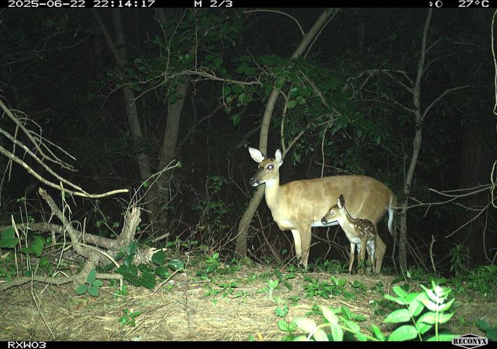 What’s In DWR’s Back Yard?