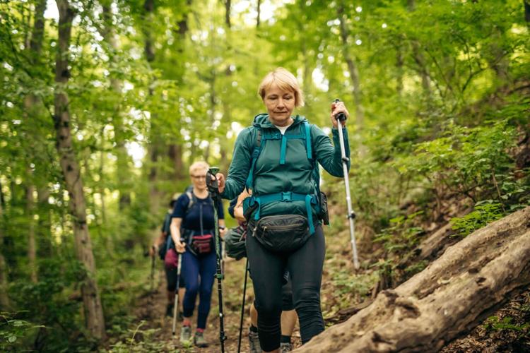 Mature female hikers with trekking poles walking on path in forest
