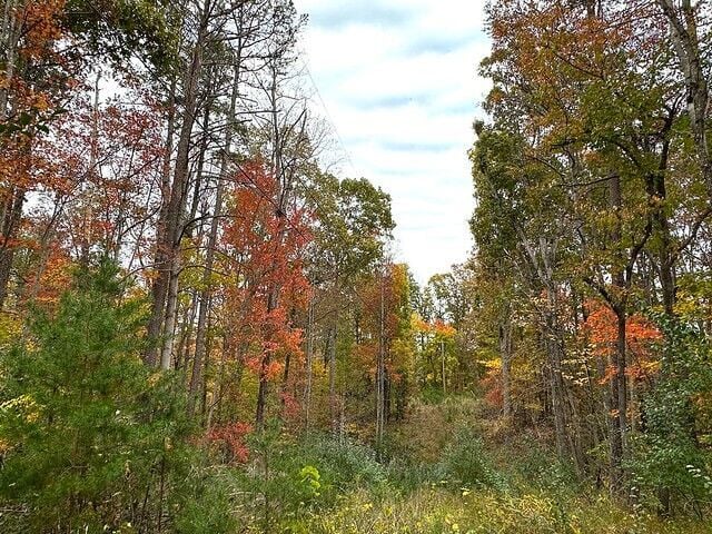 Fall at the Farmville 5