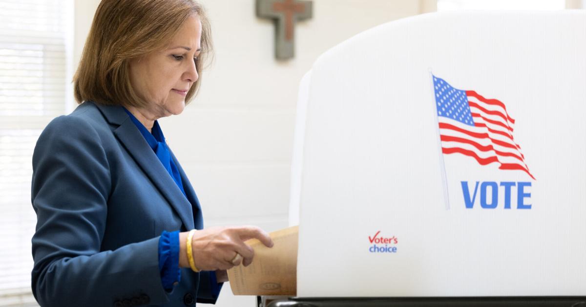 Hashmi gewinnt die Wahl zum Vizegouverneur – erster Muslim ...