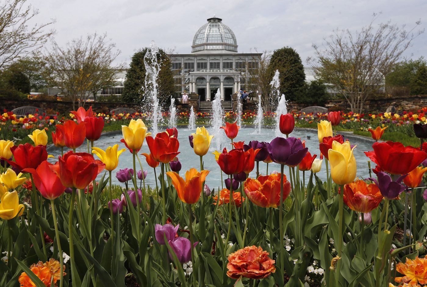 Botanical Garden Lewis Ginter