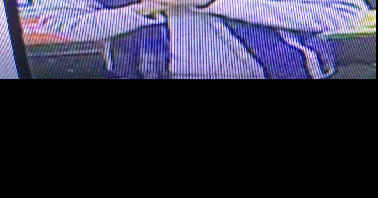 Richmond police looking for suspect in robbery near VCU