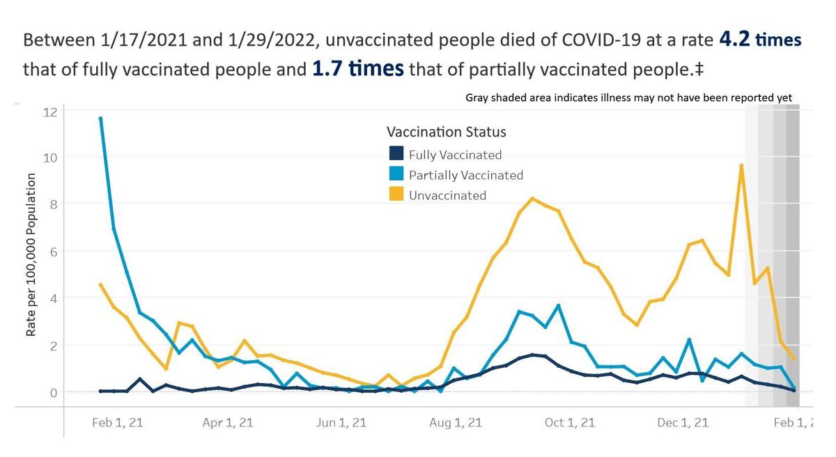 20220205 covid deaths by vaccination.JPG