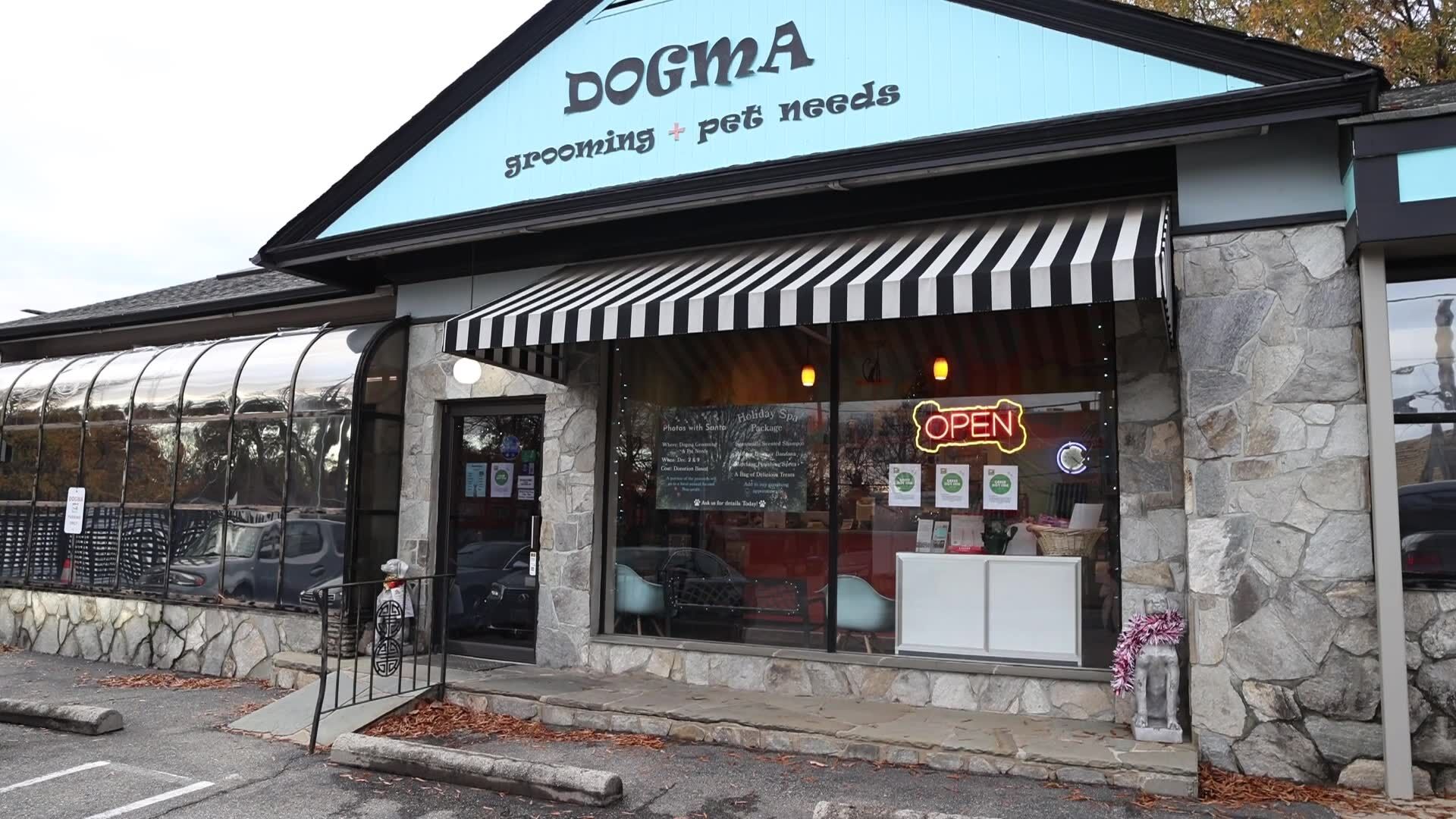 Dogma on sale dog store