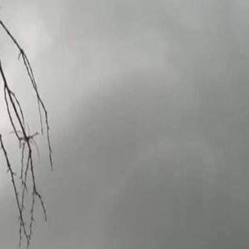 Weather Journal: A tornado scare in Blacksburg kicks off effects of former  Hurricane Ida | State and Regional News | richmond.com