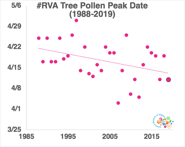 Richmond's tree pollen spiked higher than usual on Friday. It was the