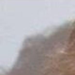 Boman Funeral Home Obituaries - Homemade Ftempo