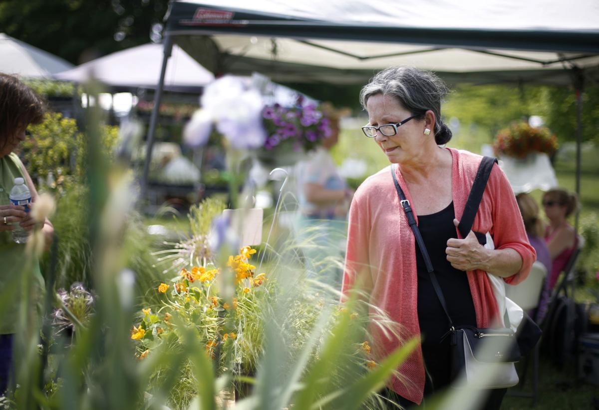 PHOTOS Herbs Galore & More plant sale at Maymont
