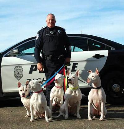RPD Facebook page pets gallery takes off
