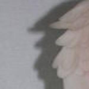 What S It Worth Coronation Item Seraphim Classics Angel Richmond Com