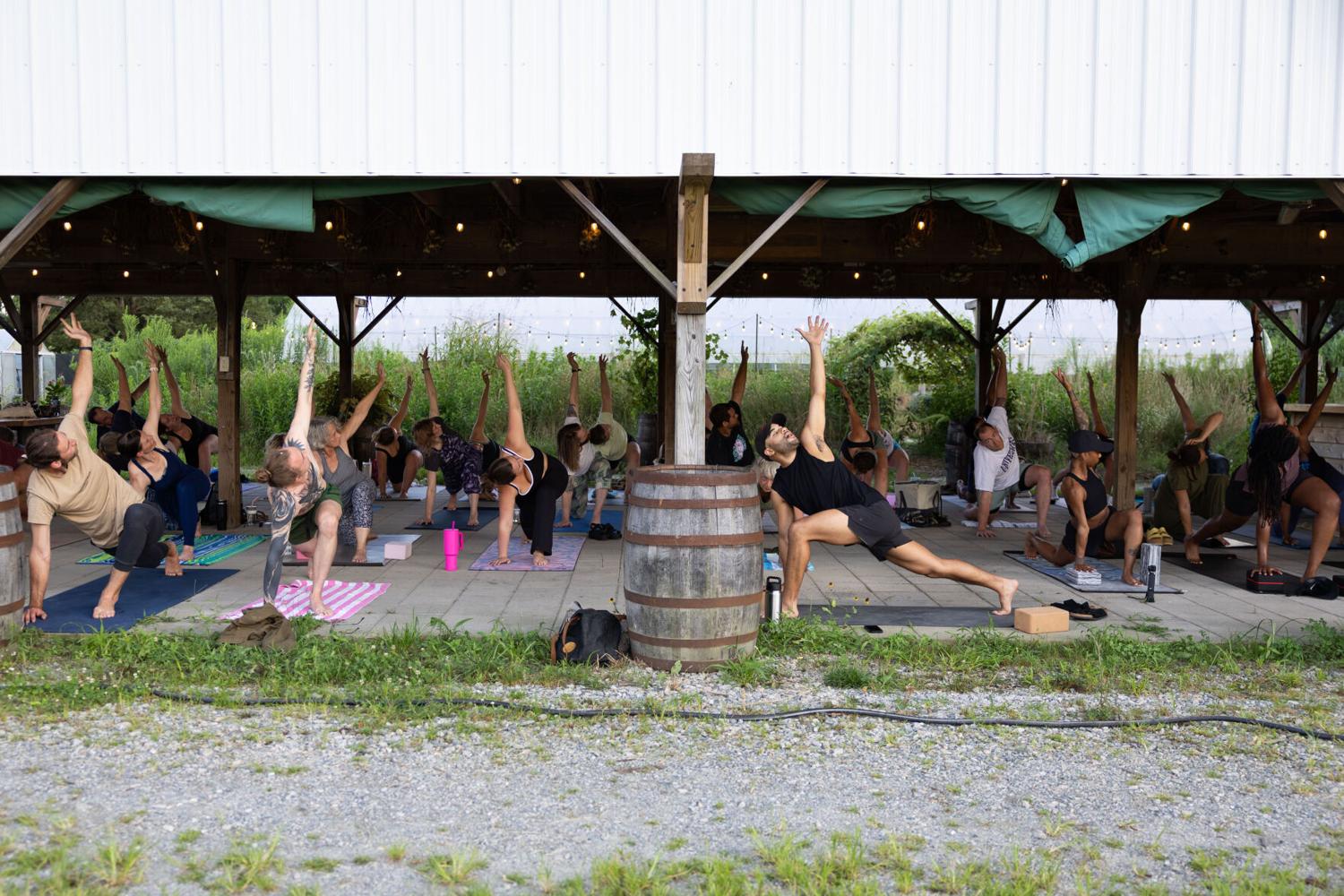 Image for article At Celeste Farms, you can do ice plunges, yoga in the barn and get fresh food