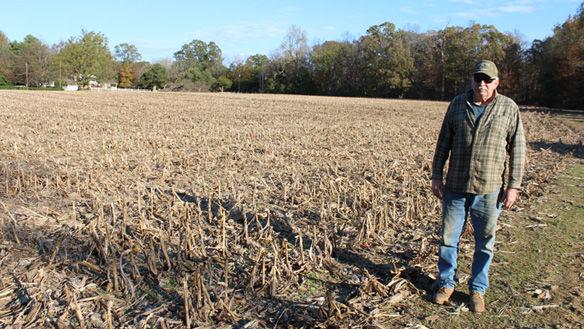 Powhatan farmers negatively impacted by drought - Richmond.com