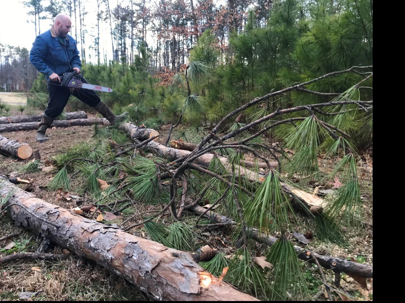 Evening Update Winds Down Trees And Overturn Tractor Trailer In