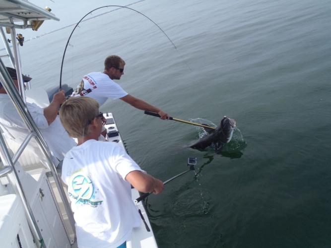 Clarkson Cobia season in Virginia remains, but with some new regulations
