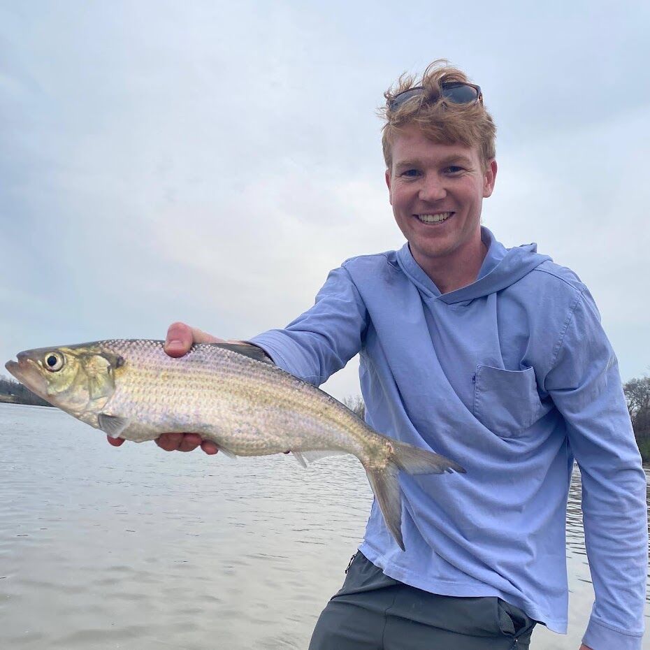 The annual shad run on the James River returns, unites RVA