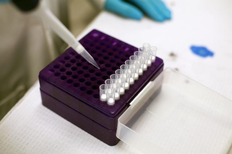 True Health continues court battle