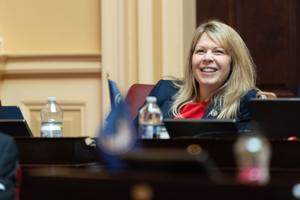 Sen. Perry proposes a Va. ban on surveillance pricing