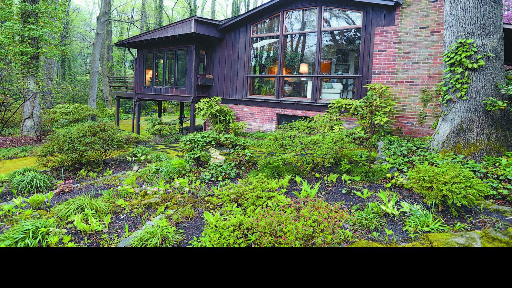 Eden Woods A Midcentury Modern Classic With A Garden To Match Great Homes Of Richmond Richmond Com