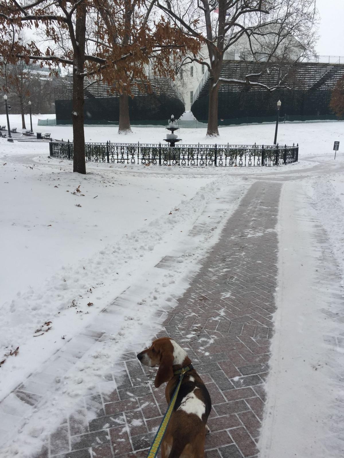Snow photos from around the Richmond area and Virginia | Weather
