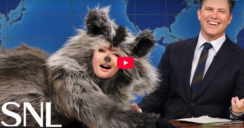 Virginia's drunk raccoon makes Saturday Night Live's Weekend Update