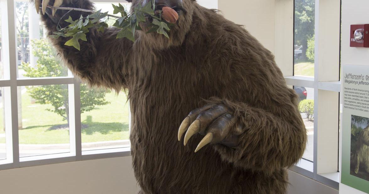 Natural History: a huge sloth with a link to Thomas Jefferson