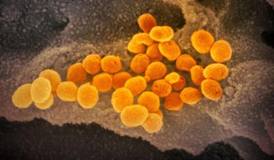 Vaccine update: 10 charts that show how Virginia is coping with COVID-19