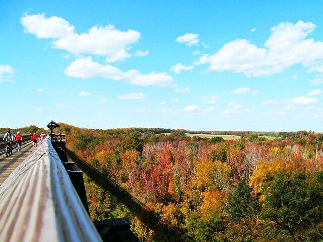 Fall at the Farmville 5
