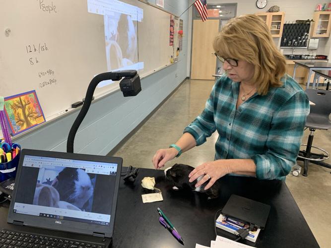 Powhatan teachers share experiences with full virtual