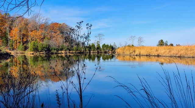 Fall on the East Coast