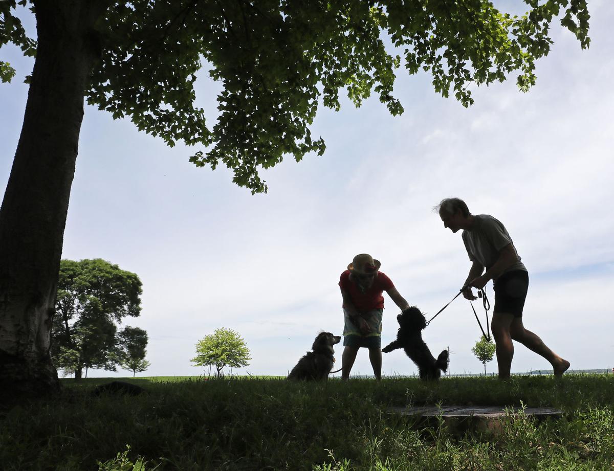 📧 Add our weather newsletter -- a vital source of what's happening outside your door