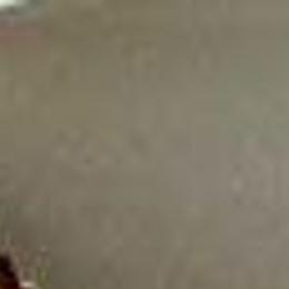 Ashland Painter Nancy Camden Witt Dies Latest News Richmond Com