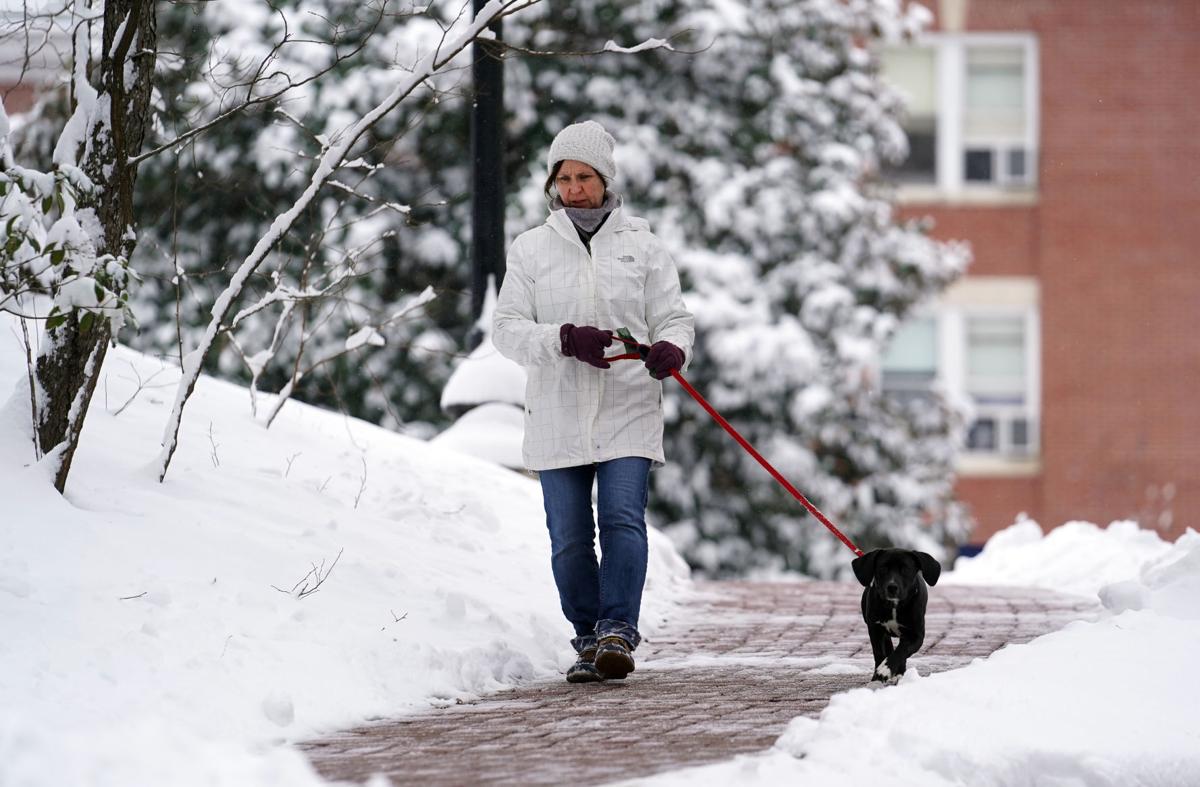 More Than 115 Photos Of Wintry Weather Across Virginia North