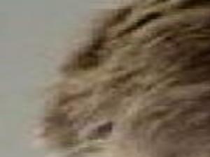 Ashland Milling Firm President Charged With Sex Crimes Of Minor Child Richmond Latest News Richmond Com