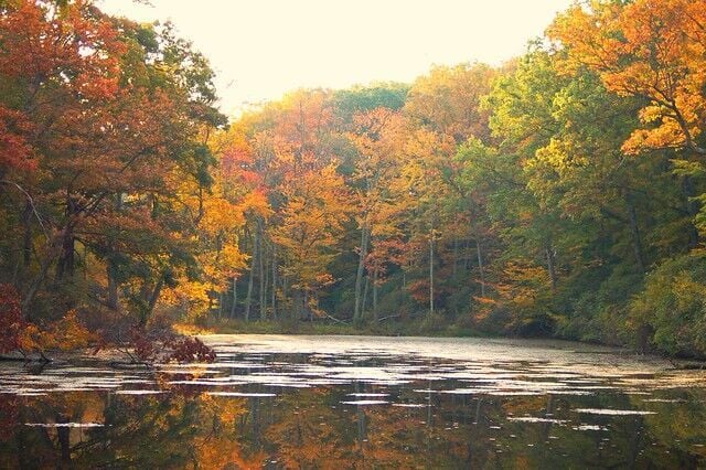 Fall on the East Coast