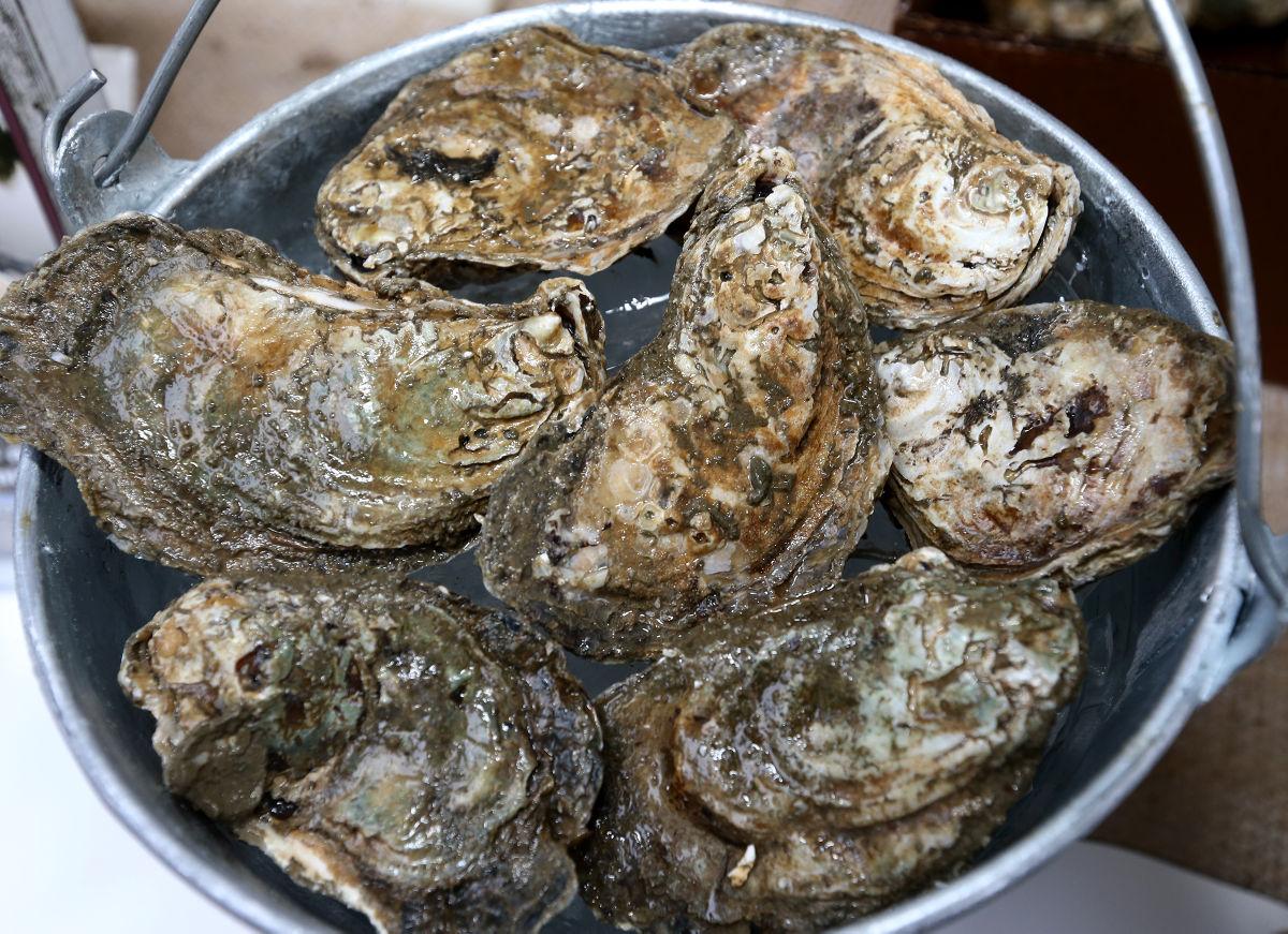 Oysters and wine A match made in heaven — or Virginia Vines & Wines