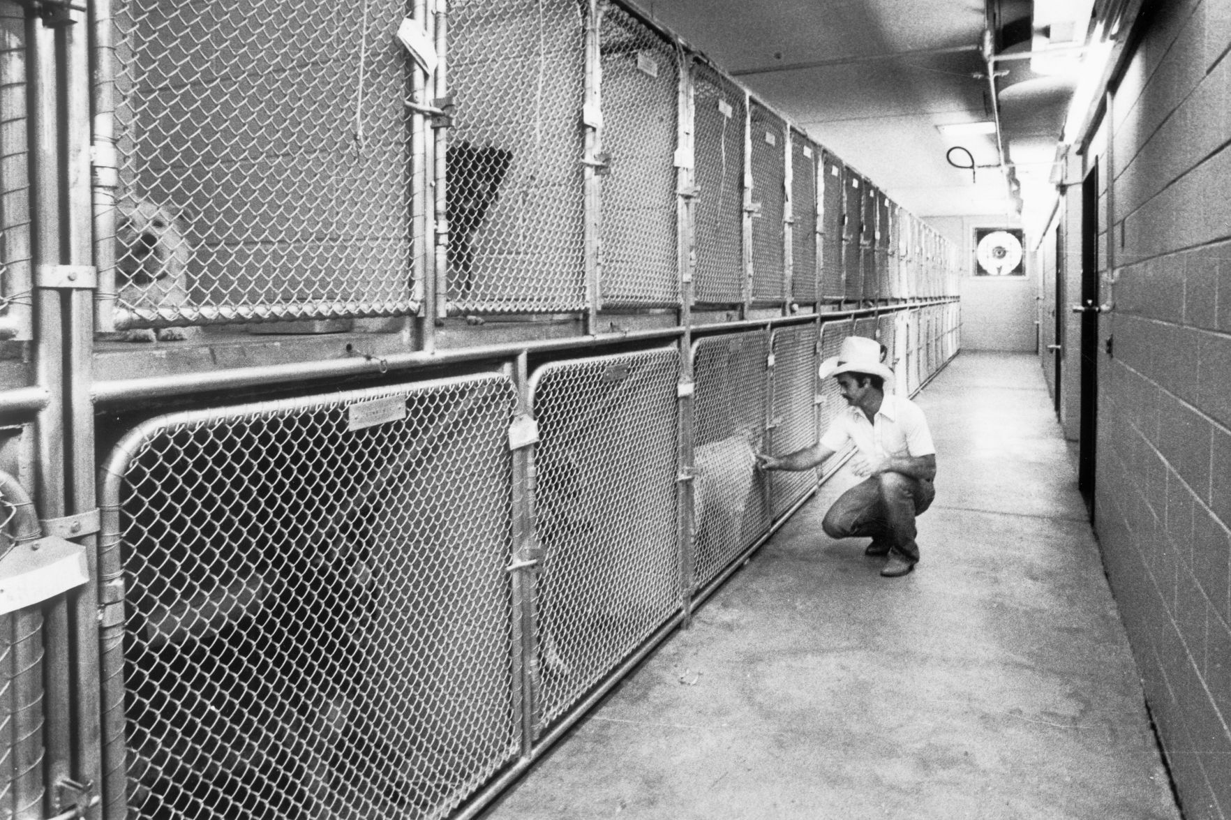 From The Archives: The SPCA In Richmond | From The Archives | Richmond.com