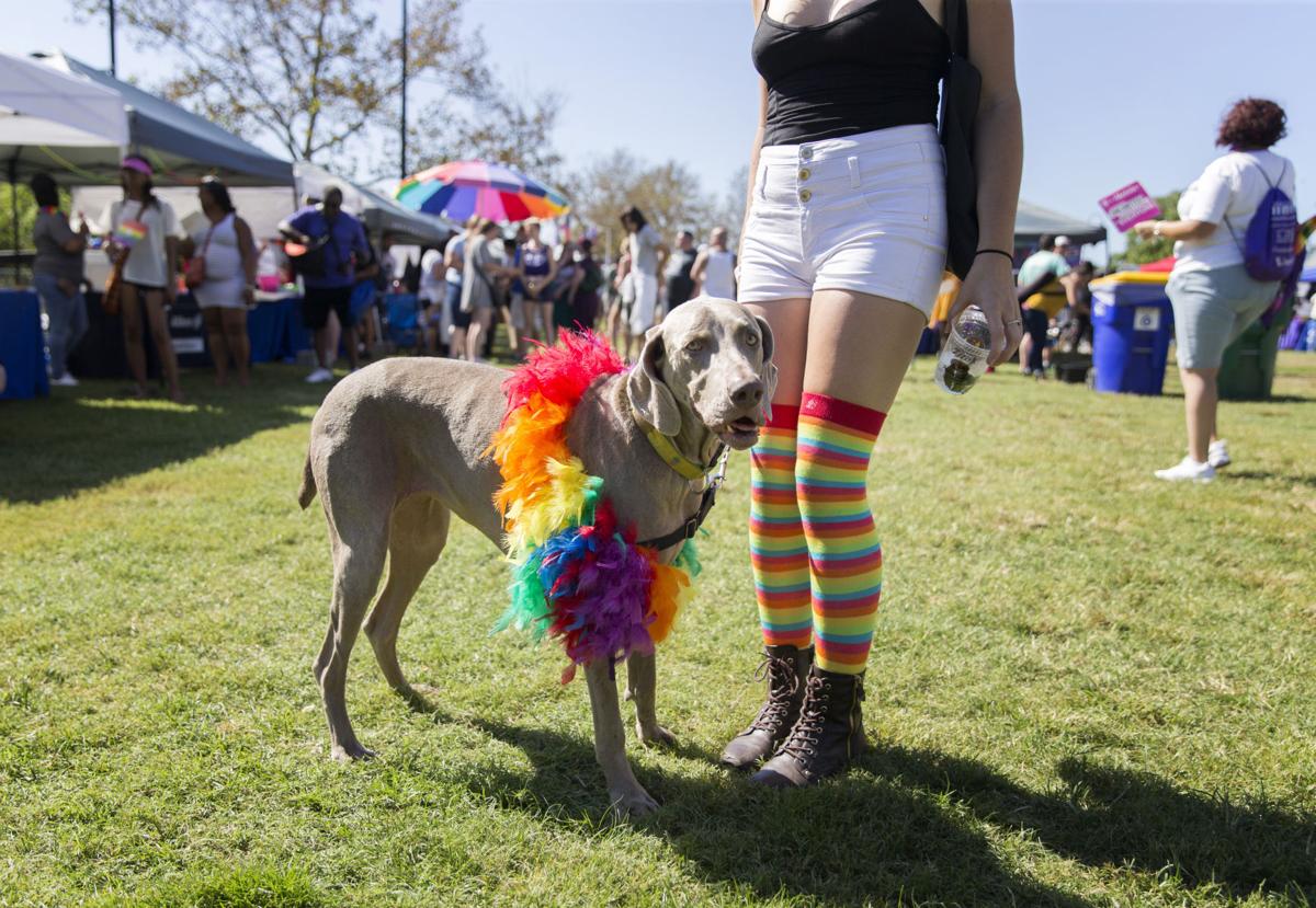 Virginia PrideFest