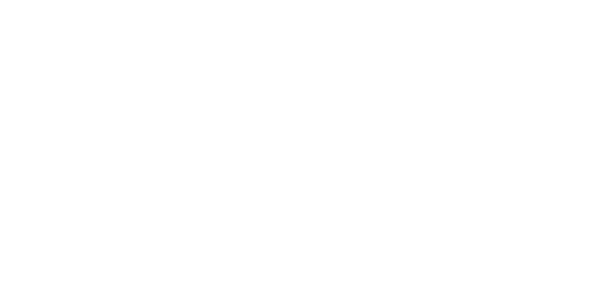A1 Minute
