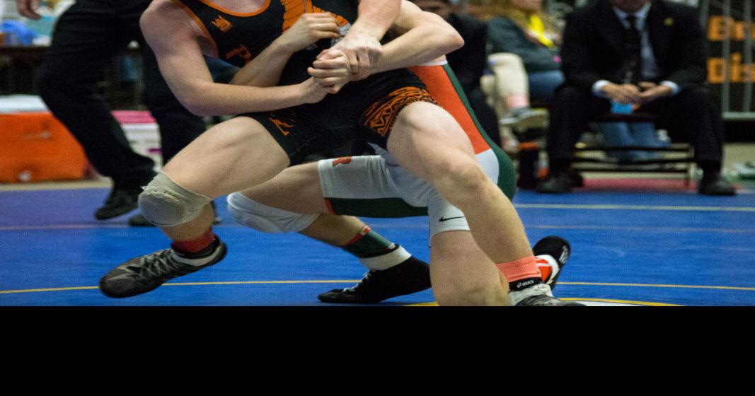 Hanover wrestling lands sixth in 4A state meet