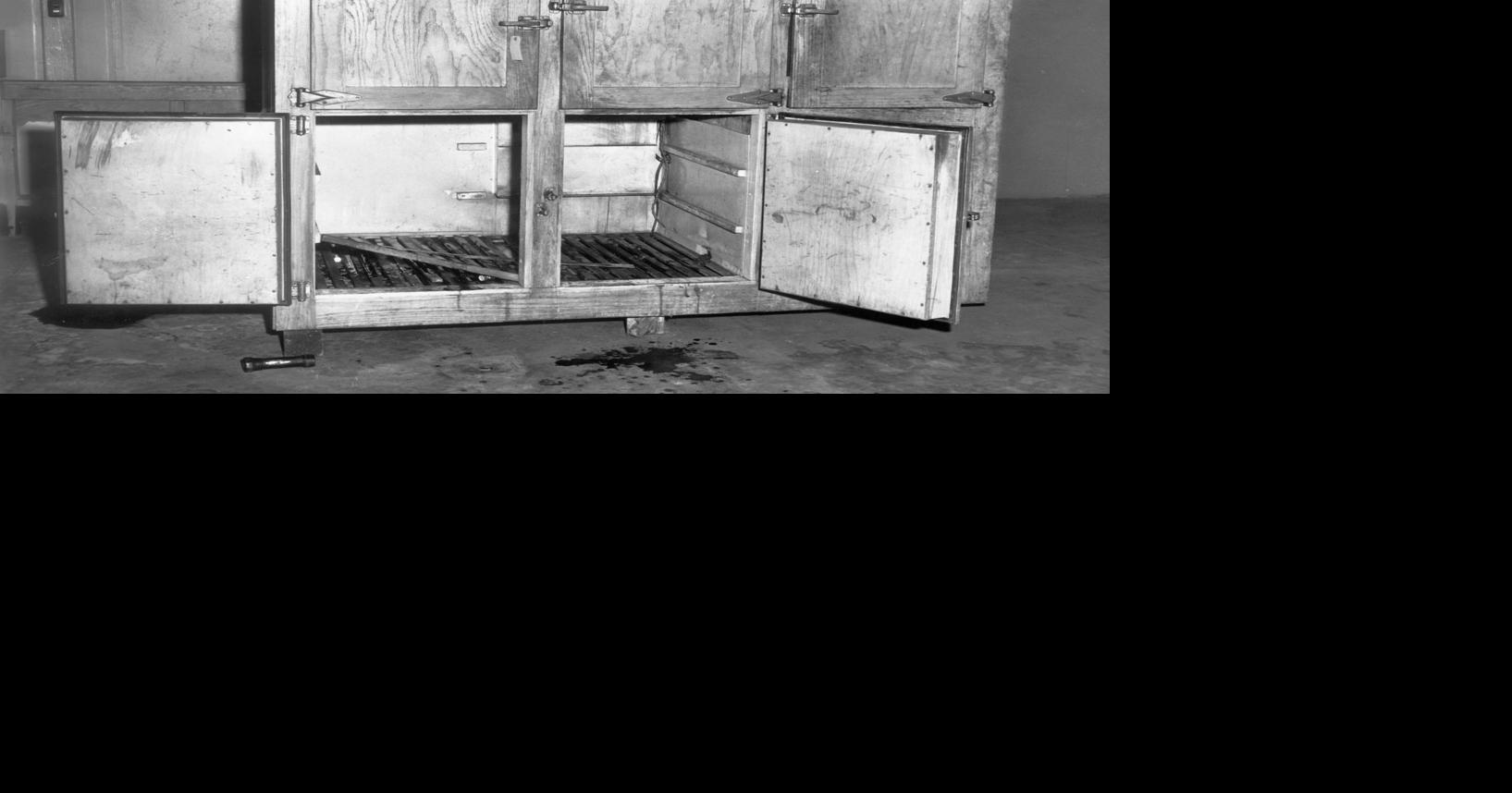 From the Archives: Four Richmond children tragically died in ice box in ...